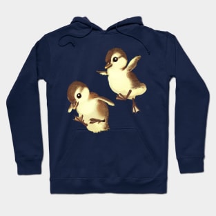 Airborne Baby Ducks Hoodie